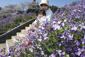 和歌山県植物公園緑花センター 