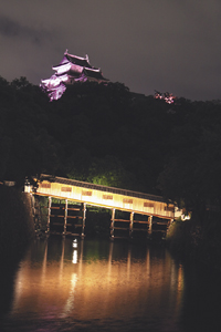 和歌山城をピンク色にライトアップ