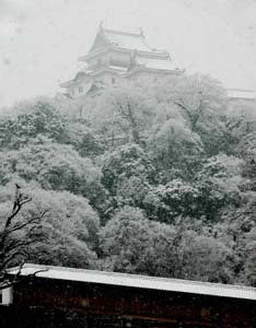 雪をかぶった和歌山城天守と御橋廊下（14日午後４時ごろ撮影） - 和歌山市で27年ぶり大雪