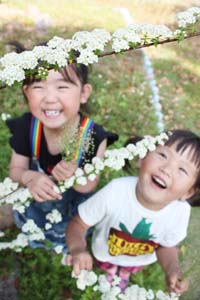 「小さなお花でかわいい」と来園した子ども - 緑花センターでキイシモツケ見ごろ