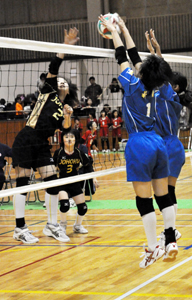 第31回全日本バレーボール小学生大会和歌山市予選女子の部
