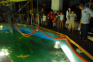 大水槽にびっくり　ＪＡＦが自然博物館探検