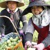収穫した「げんごべえすいか」を手に笑顔の土橋さん夫妻