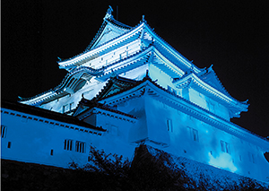 青く照らし出された和歌山城