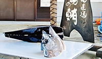 「勝浦漁港にぎわい広場」で行われるマグロ解体ショー