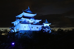 青くライトアップされた和歌山城