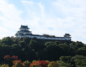 未来の和歌山城の在り方を考えよう
