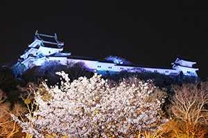 青い光に染まる和歌山城天守閣と夜桜