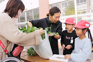 収穫したばかりの野菜を販売する児童たち