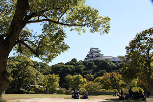 記念植樹が行われる和歌山城公園